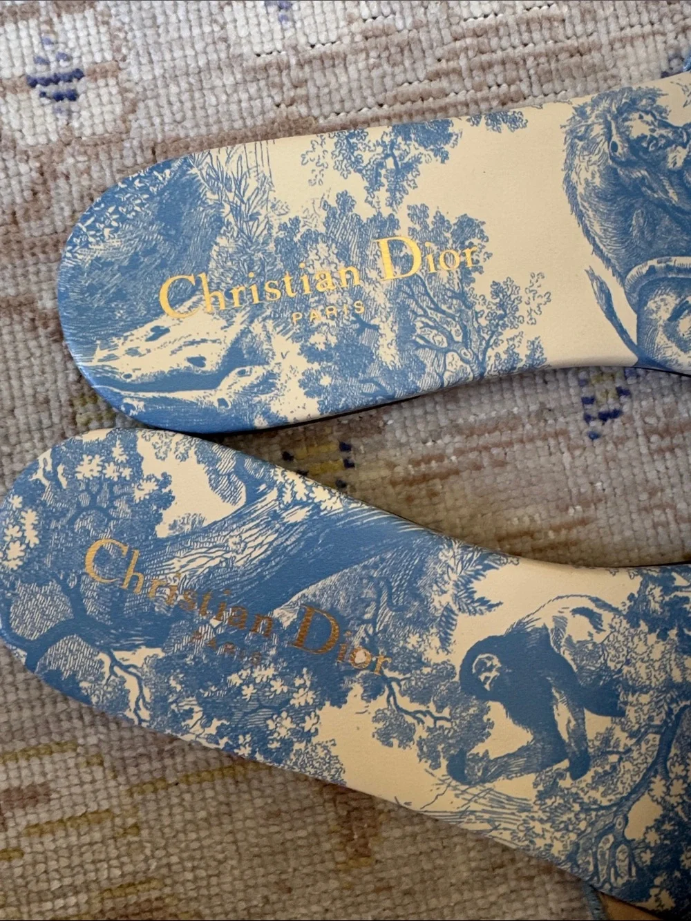 Christian Dior Canvas Printed Slides Size 39 - Picture 8 of 10